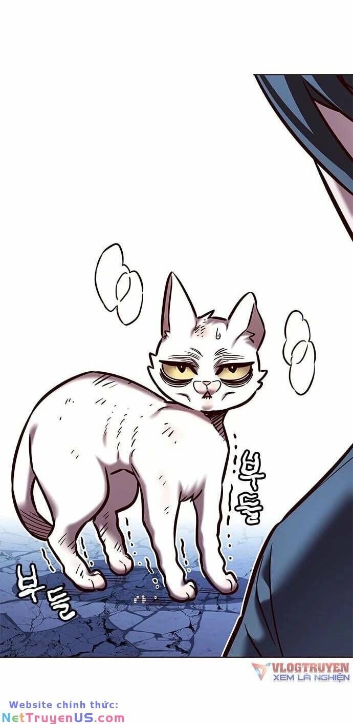 Hoá Thân Thành Mèo Chapter 275 - Trang 2
