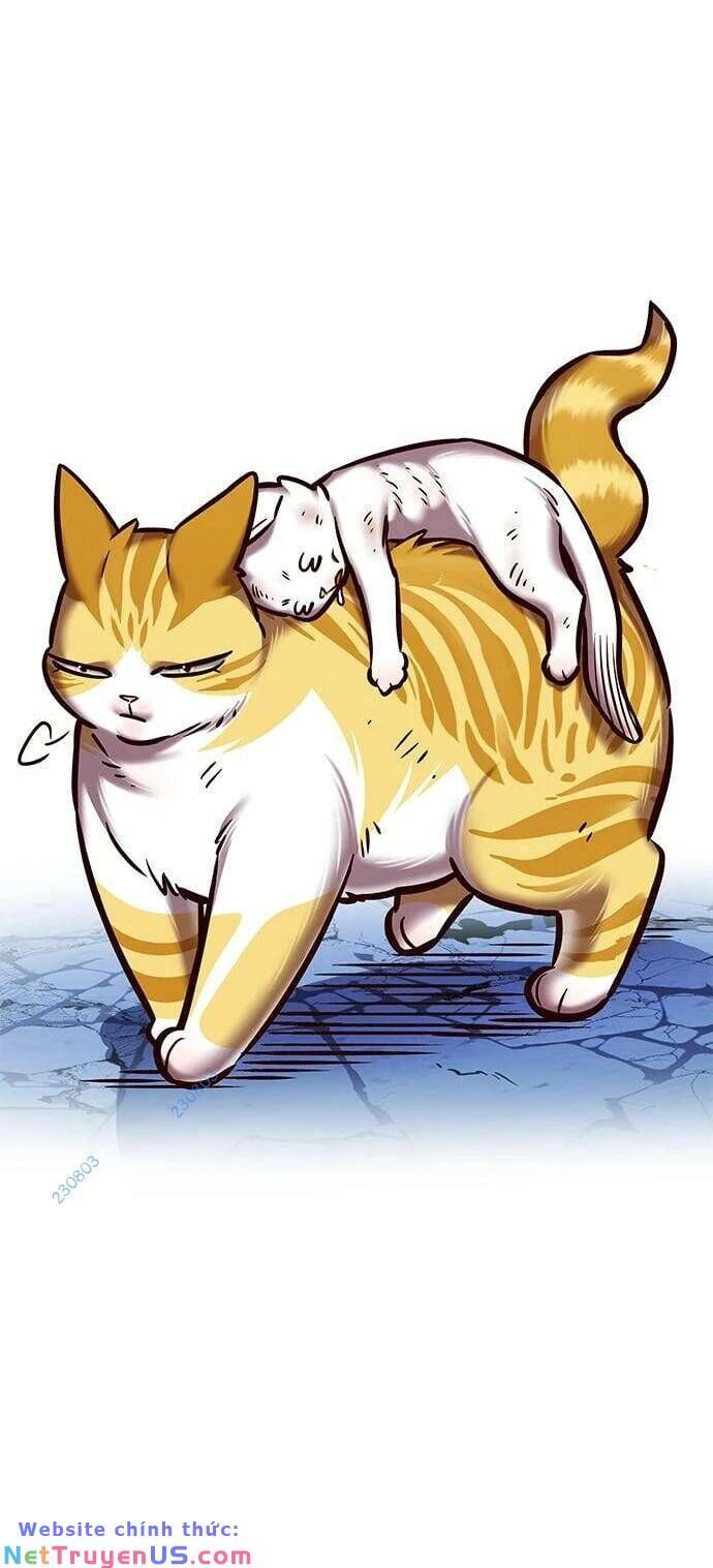 Hoá Thân Thành Mèo Chapter 275 - Trang 2
