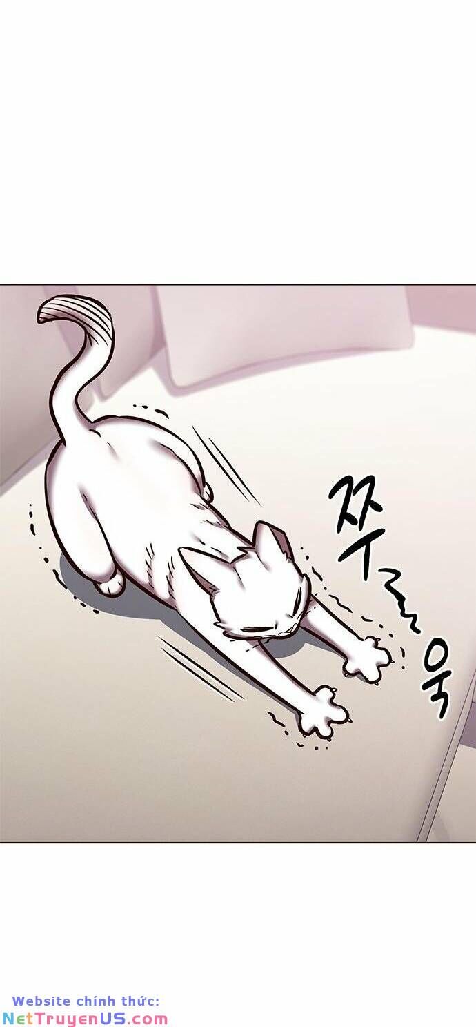 Hoá Thân Thành Mèo Chapter 275 - Trang 2