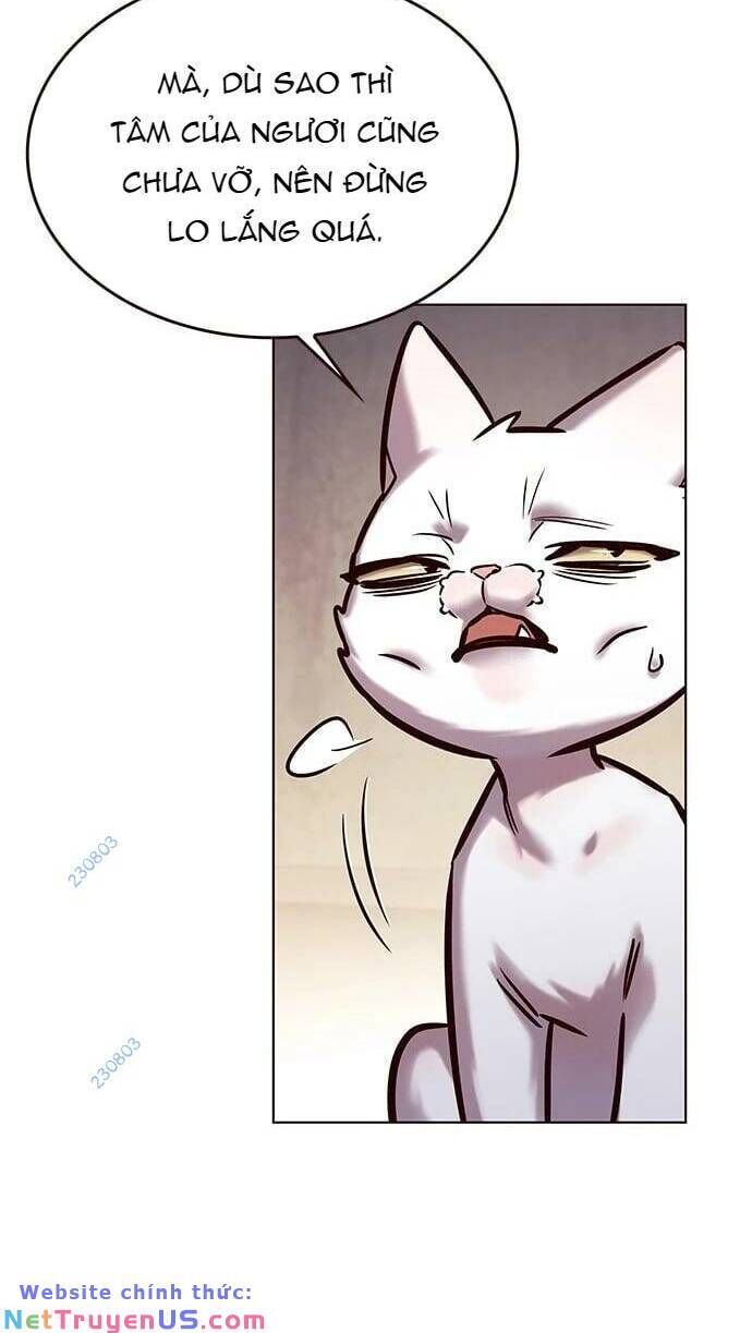 Hoá Thân Thành Mèo Chapter 275 - Trang 2