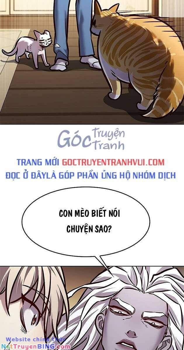 Hoá Thân Thành Mèo Chapter 278 - Trang 2