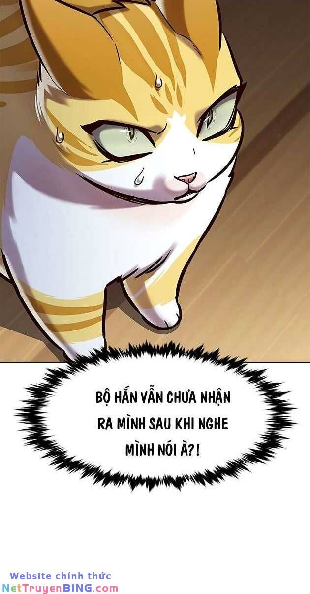 Hoá Thân Thành Mèo Chapter 278 - Trang 2