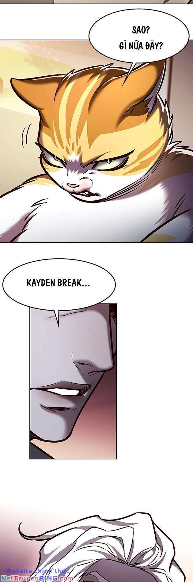 Hoá Thân Thành Mèo Chapter 278 - Trang 2