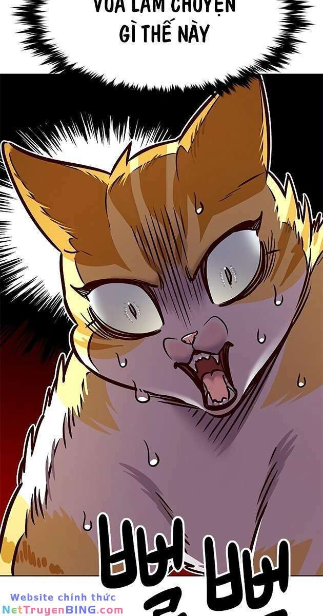 Hoá Thân Thành Mèo Chapter 278 - Trang 2