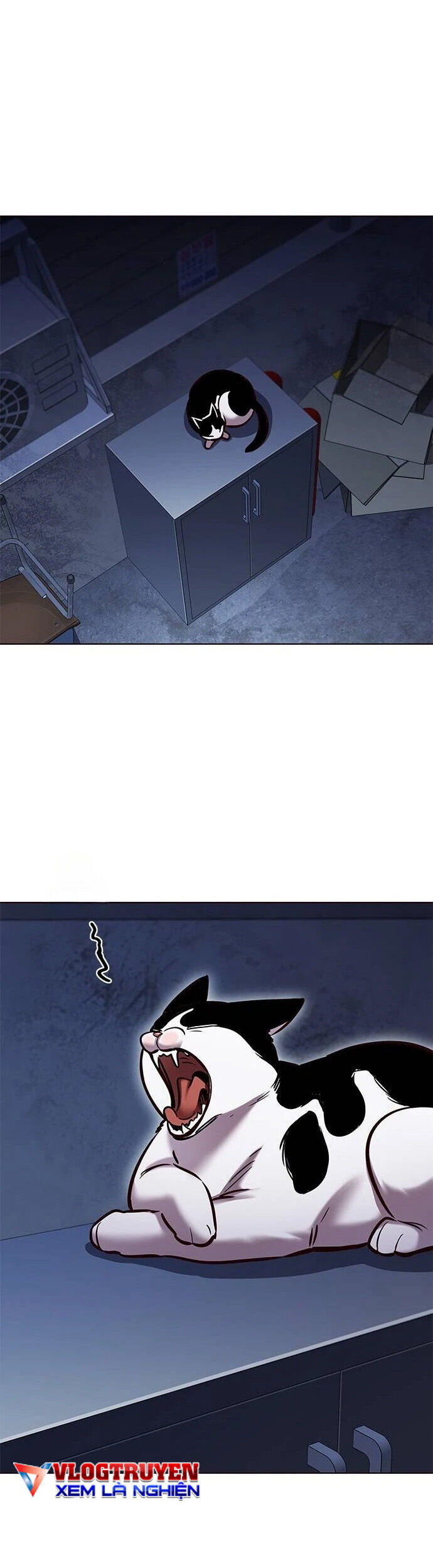Hoá Thân Thành Mèo Chapter 279 - Trang 2