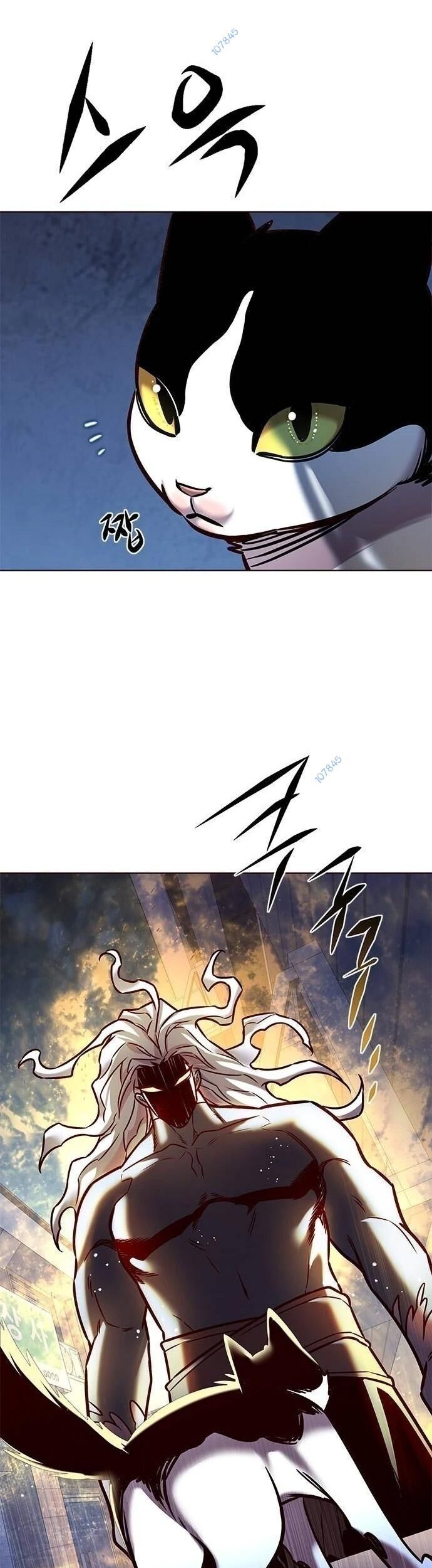 Hoá Thân Thành Mèo Chapter 279 - Trang 2