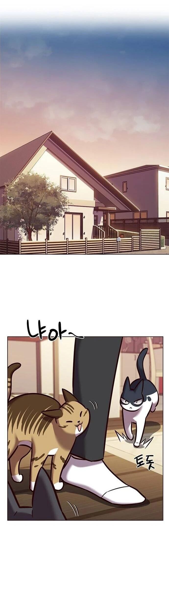 Hoá Thân Thành Mèo Chapter 279 - Trang 2