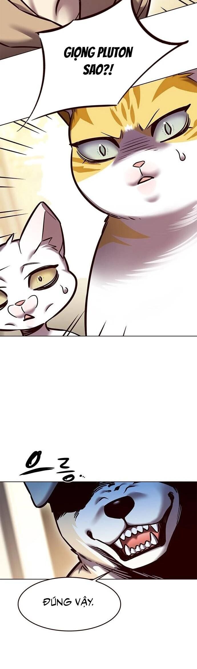 Hoá Thân Thành Mèo Chapter 279 - Trang 2