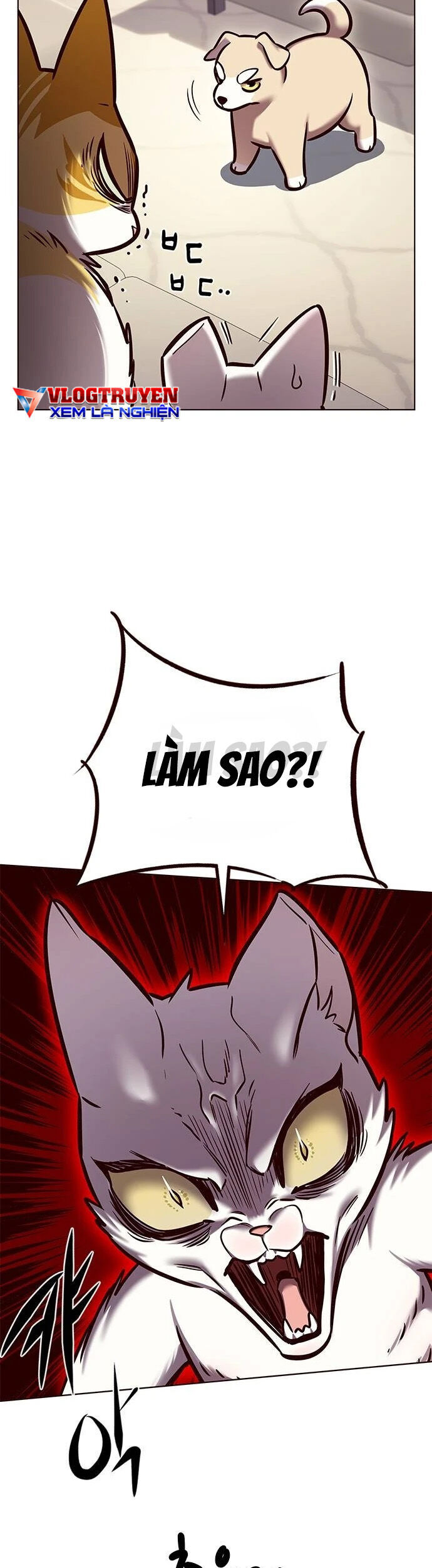 Hoá Thân Thành Mèo Chapter 279 - Trang 2