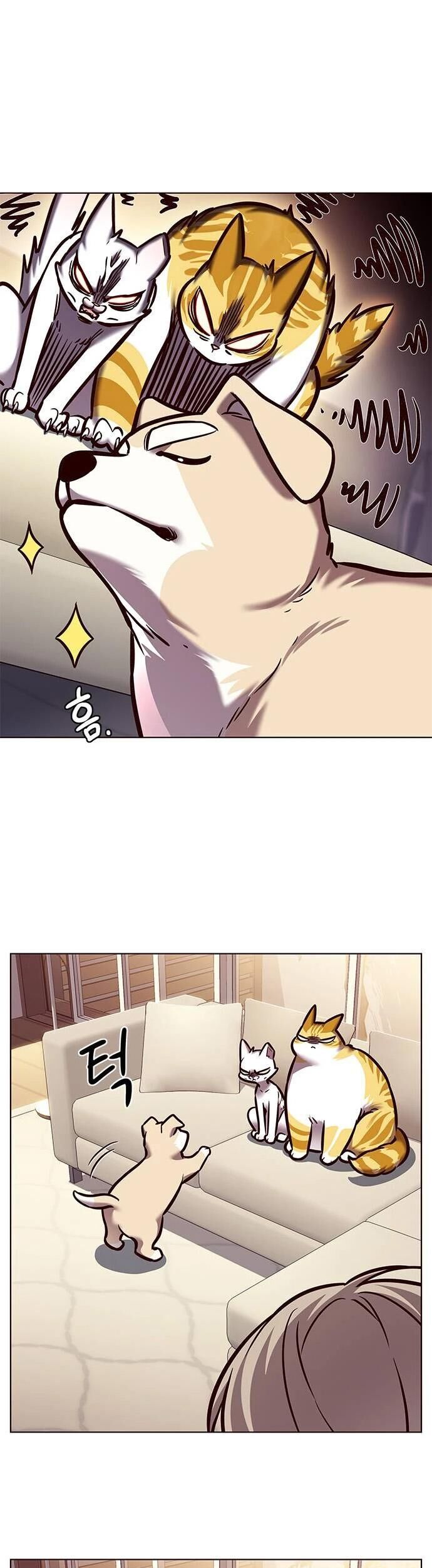 Hoá Thân Thành Mèo Chapter 279 - Trang 2
