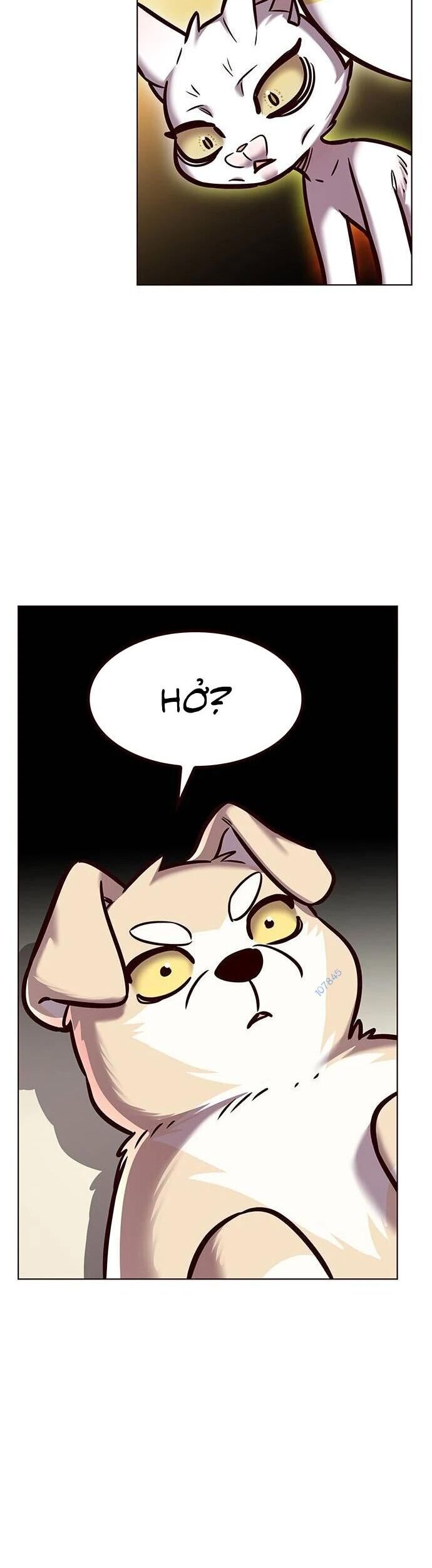 Hoá Thân Thành Mèo Chapter 279 - Trang 2