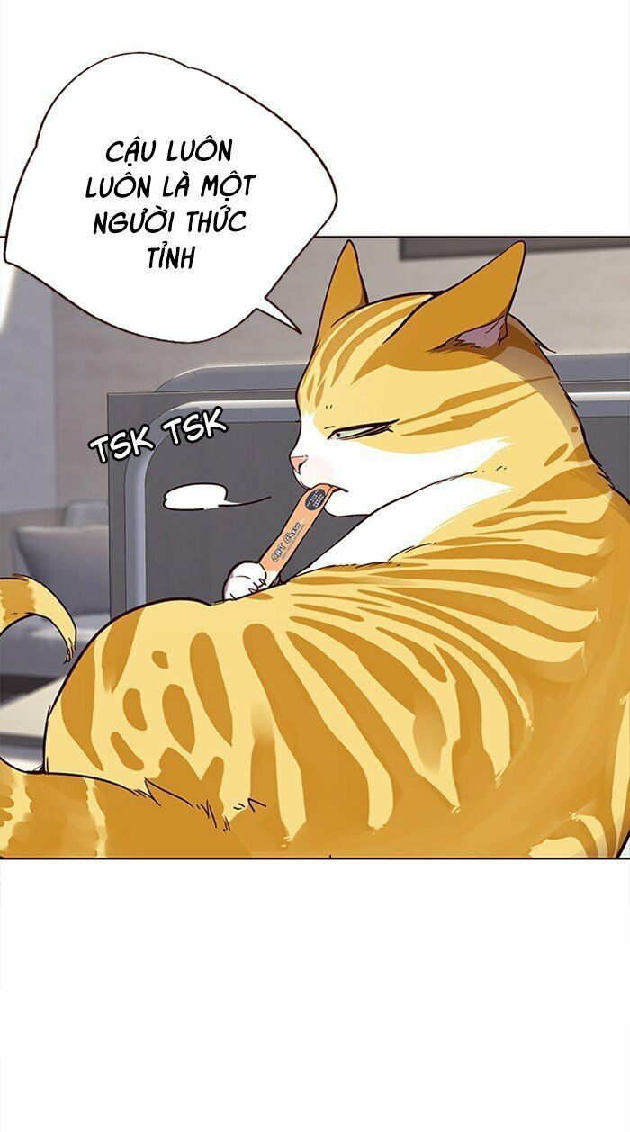 Hoá Thân Thành Mèo Chapter 28 - Trang 2
