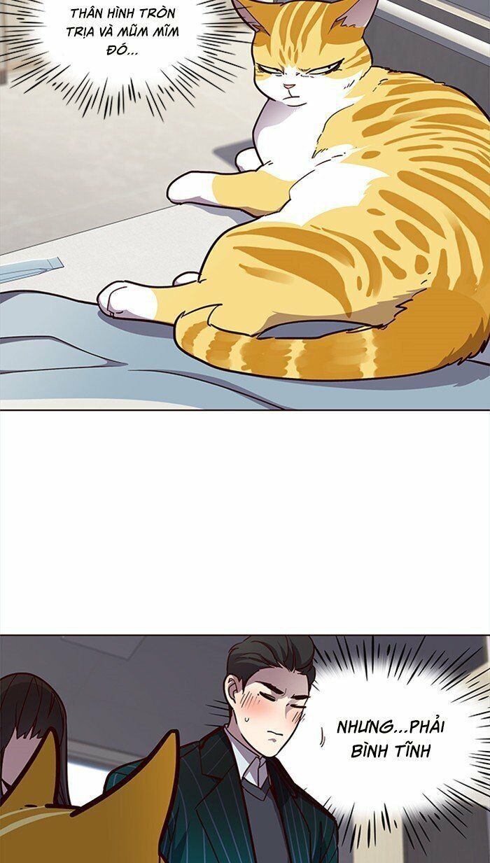 Hoá Thân Thành Mèo Chapter 28 - Trang 2