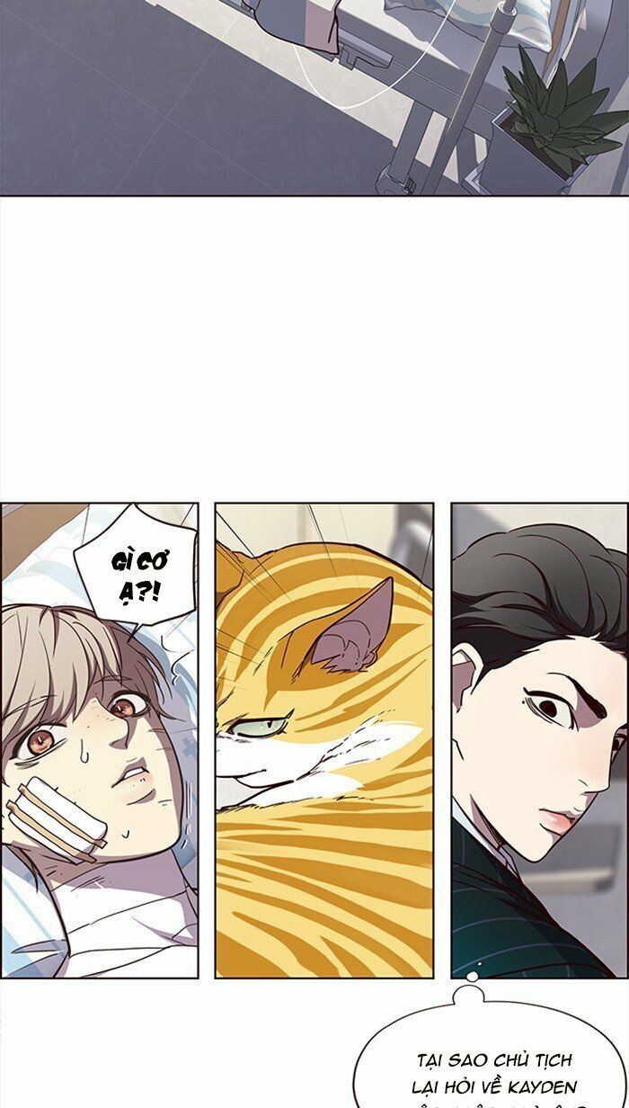 Hoá Thân Thành Mèo Chapter 28 - Trang 2