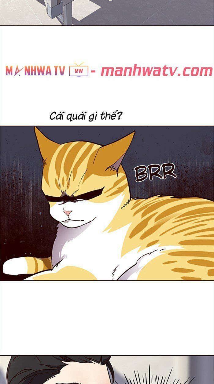 Hoá Thân Thành Mèo Chapter 28 - Trang 2