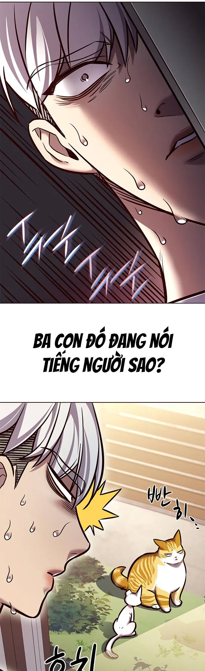 Hoá Thân Thành Mèo Chapter 280 - Trang 2