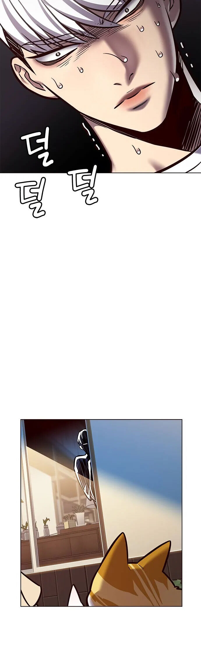 Hoá Thân Thành Mèo Chapter 280 - Trang 2