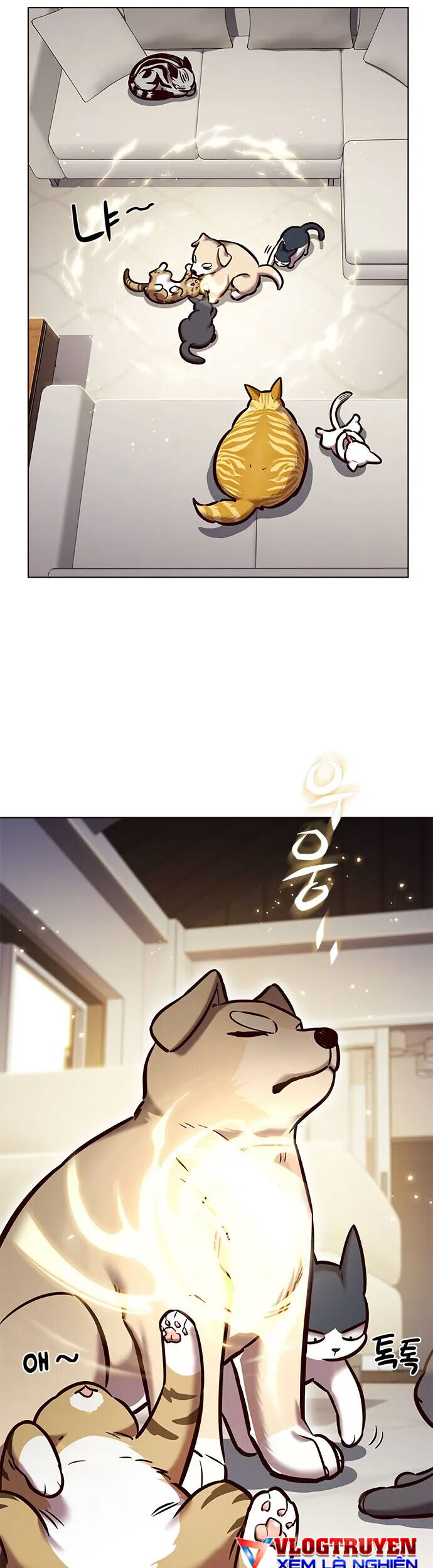 Hoá Thân Thành Mèo Chapter 280 - Trang 2