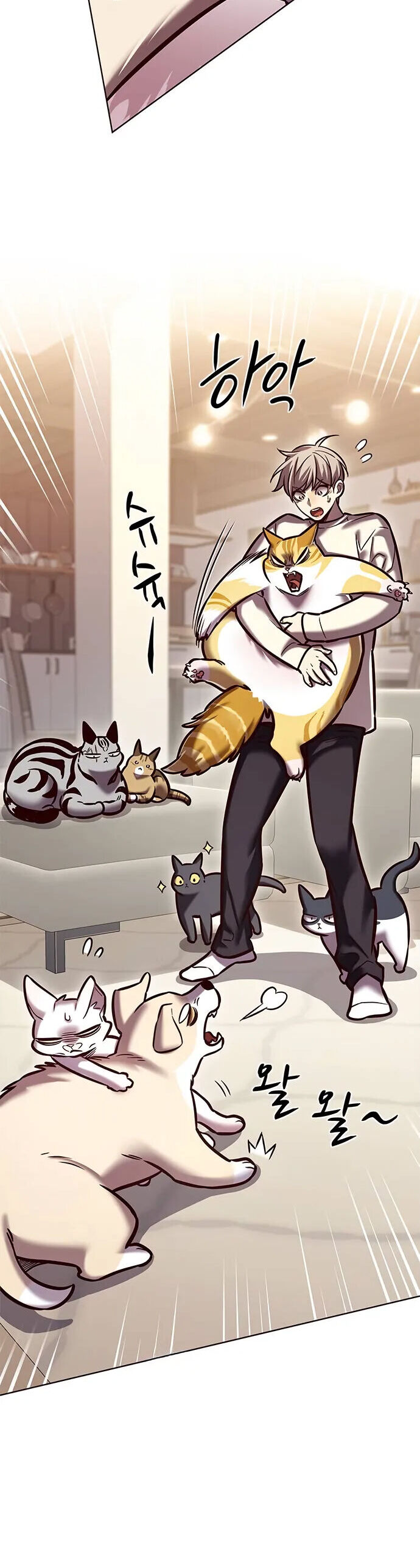 Hoá Thân Thành Mèo Chapter 280 - Trang 2