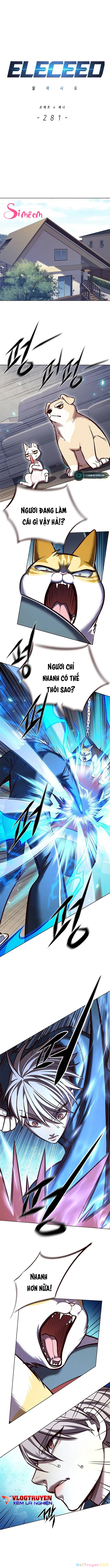 Hoá Thân Thành Mèo Chapter 281 - Trang 2