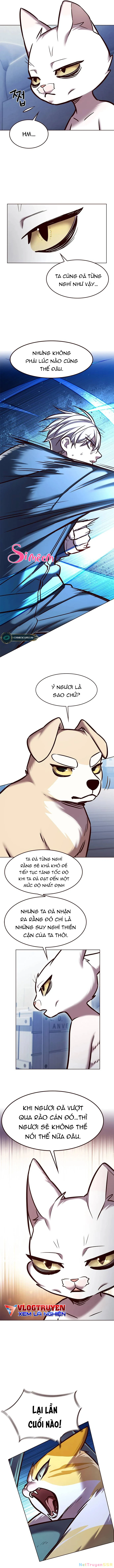 Hoá Thân Thành Mèo Chapter 281 - Trang 2