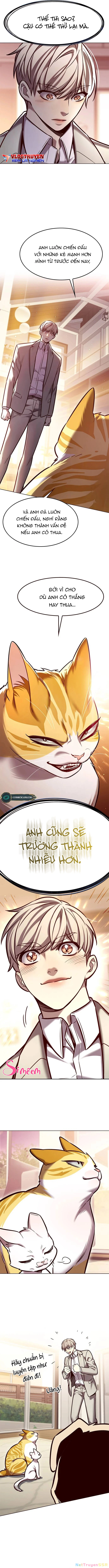 Hoá Thân Thành Mèo Chapter 282 - Trang 2