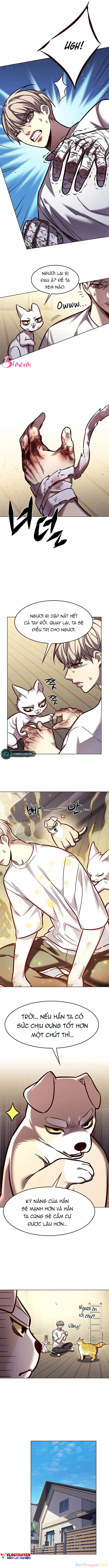 Hoá Thân Thành Mèo Chapter 284 - Trang 2