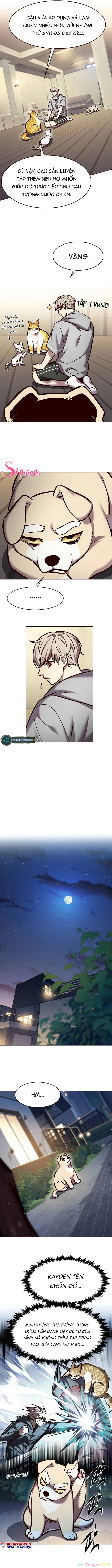Hoá Thân Thành Mèo Chapter 284 - Trang 2