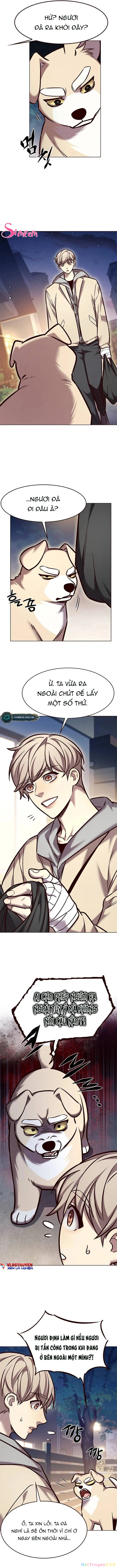 Hoá Thân Thành Mèo Chapter 284 - Trang 2