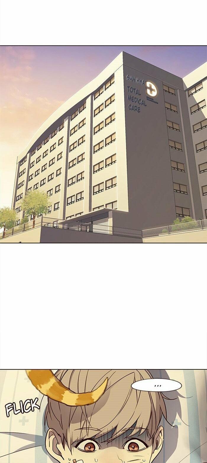 Hoá Thân Thành Mèo Chapter 29 - Trang 2