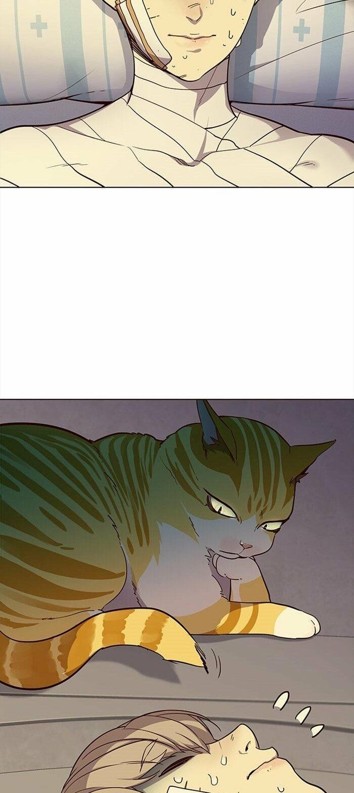 Hoá Thân Thành Mèo Chapter 29 - Trang 2