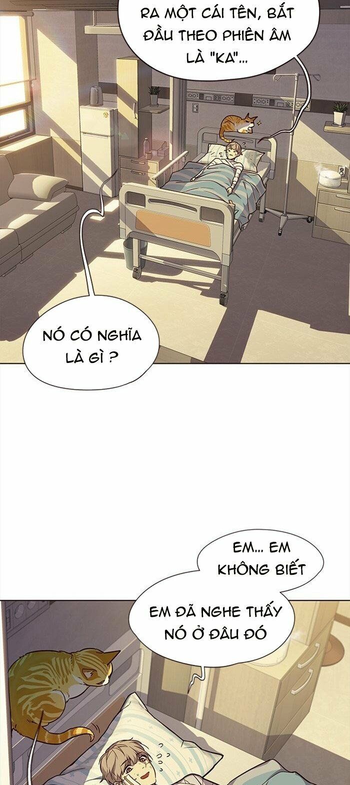 Hoá Thân Thành Mèo Chapter 29 - Trang 2