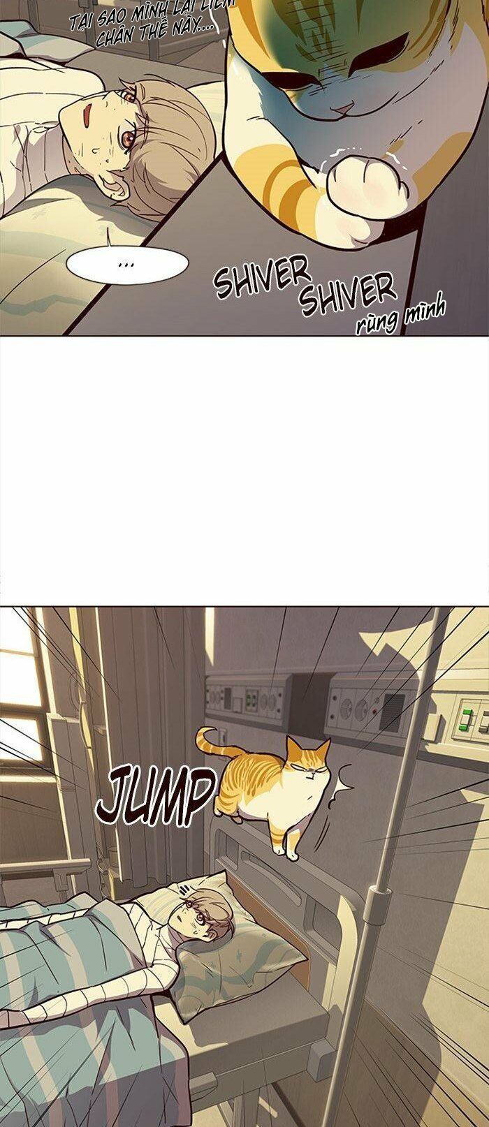Hoá Thân Thành Mèo Chapter 29 - Trang 2