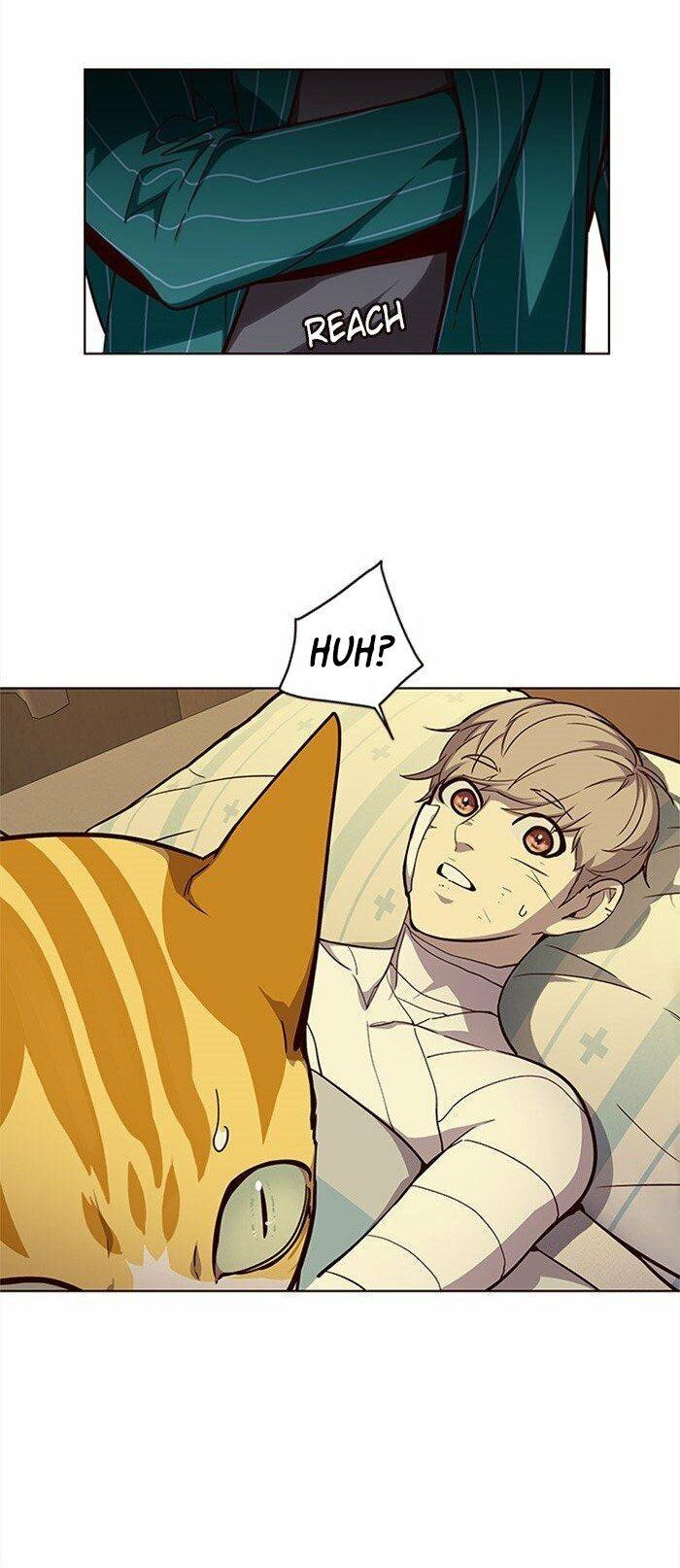 Hoá Thân Thành Mèo Chapter 29 - Trang 2