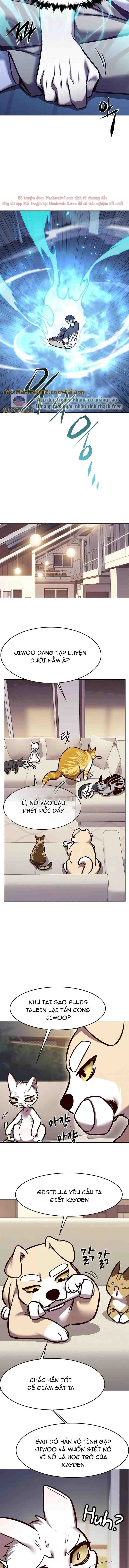 Hoá Thân Thành Mèo Chapter 294 - Trang 2