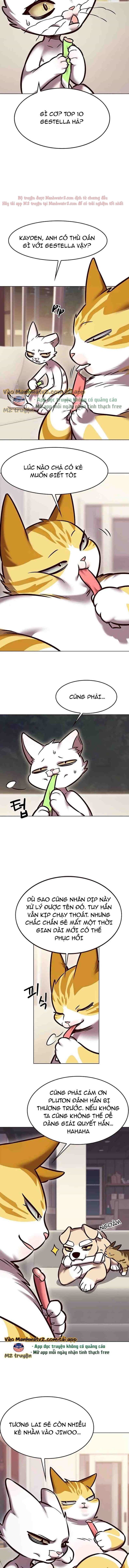Hoá Thân Thành Mèo Chapter 294 - Trang 2