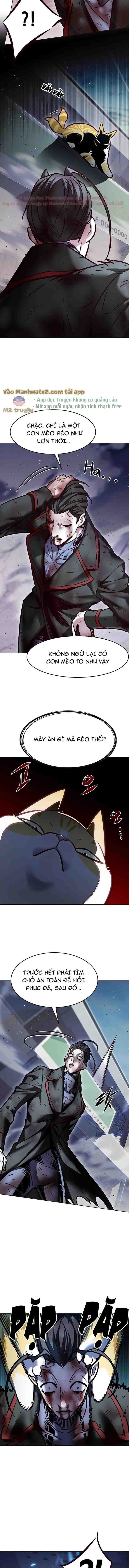 Hoá Thân Thành Mèo Chapter 294 - Trang 2