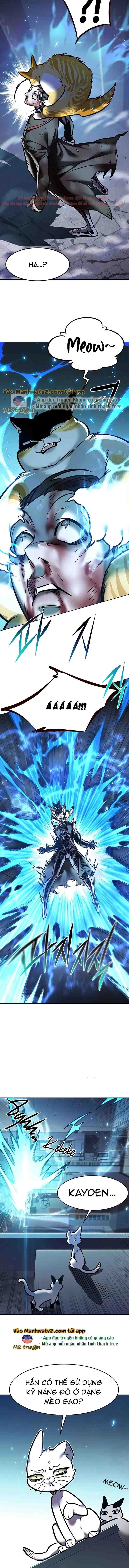 Hoá Thân Thành Mèo Chapter 294 - Trang 2