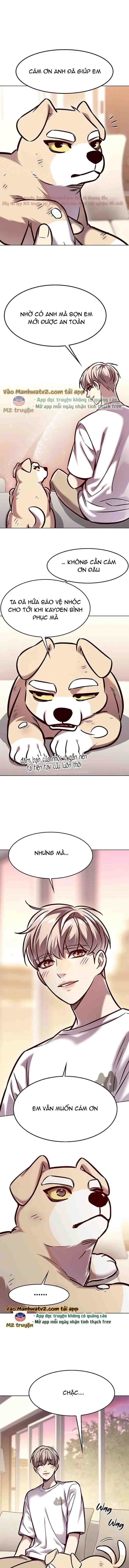Hoá Thân Thành Mèo Chapter 294 - Trang 2