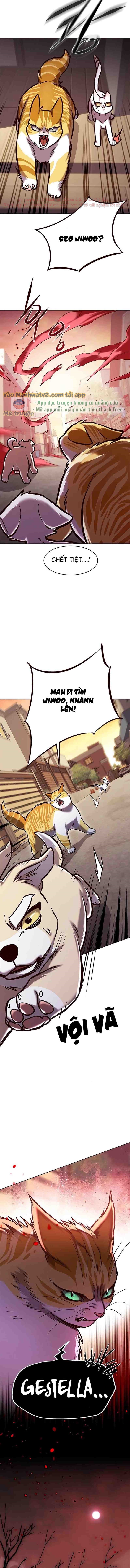 Hoá Thân Thành Mèo Chapter 295 - Trang 2