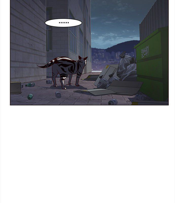 Hoá Thân Thành Mèo Chapter 3 - Trang 2