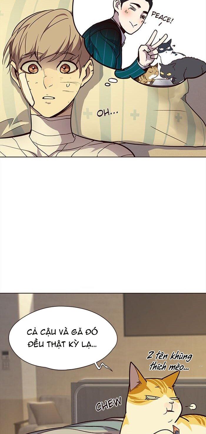 Hoá Thân Thành Mèo Chapter 30 - Trang 2