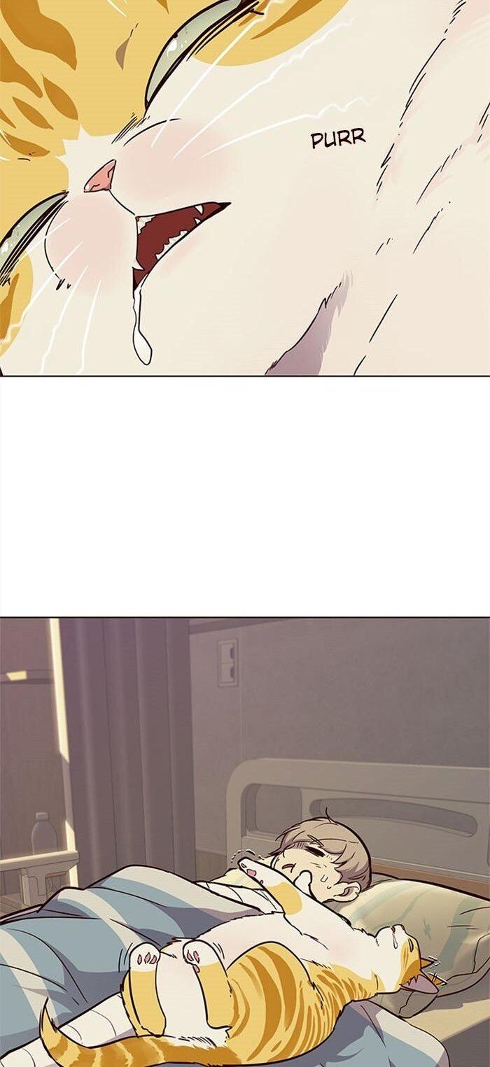 Hoá Thân Thành Mèo Chapter 30 - Trang 2