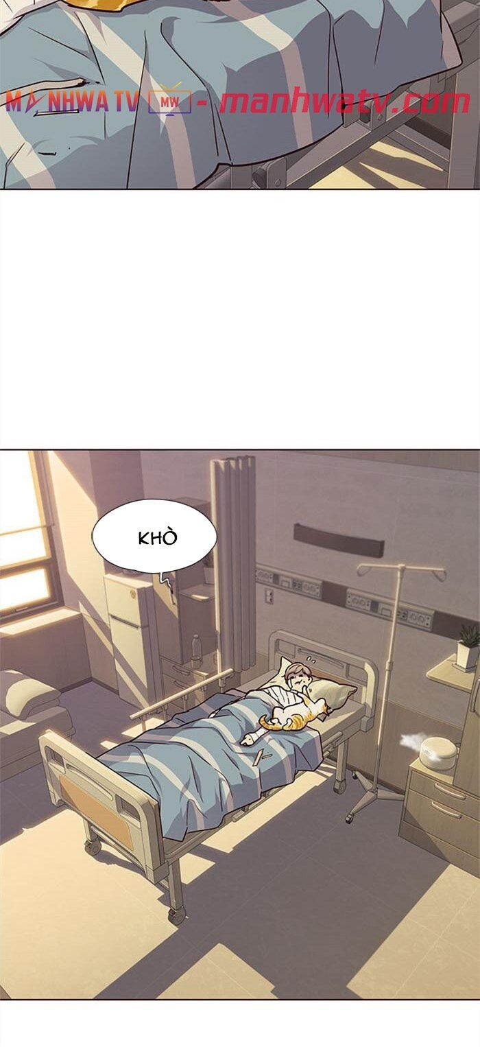 Hoá Thân Thành Mèo Chapter 30 - Trang 2