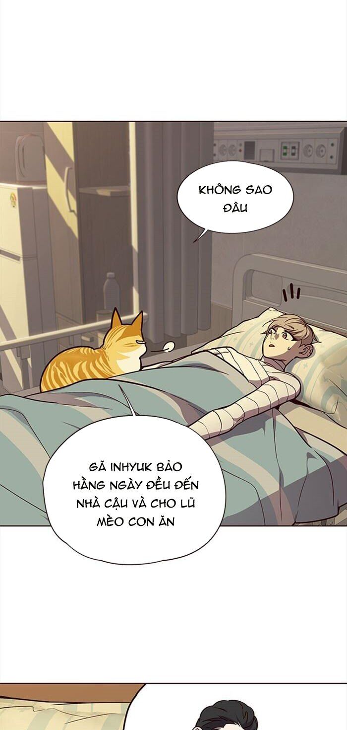 Hoá Thân Thành Mèo Chapter 30 - Trang 2