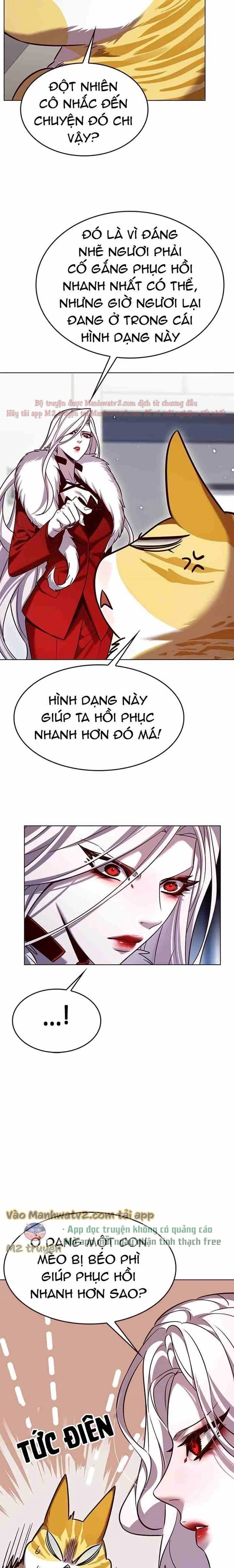 Hoá Thân Thành Mèo Chapter 308 - Trang 2