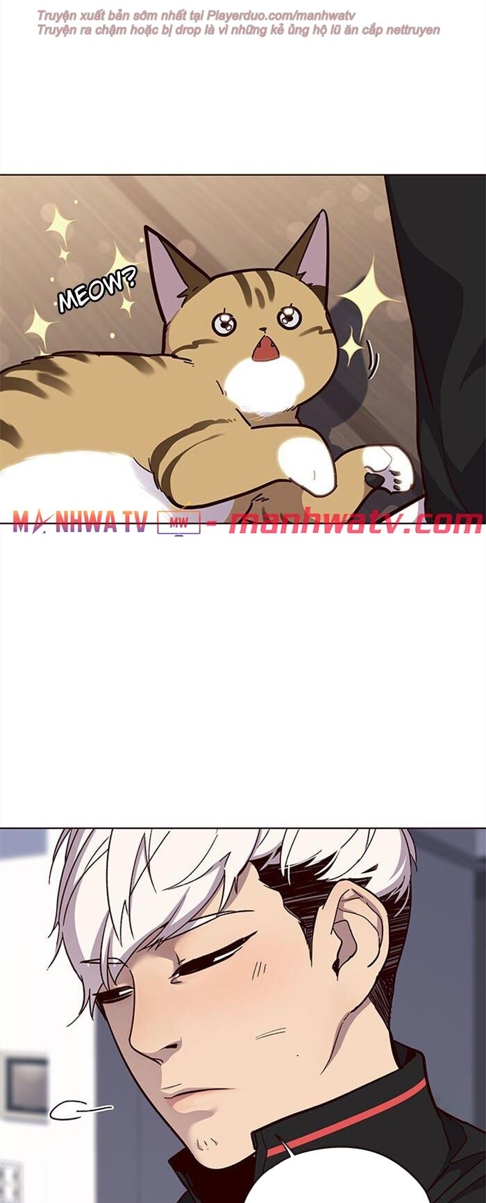 Hoá Thân Thành Mèo Chapter 35 - Trang 2
