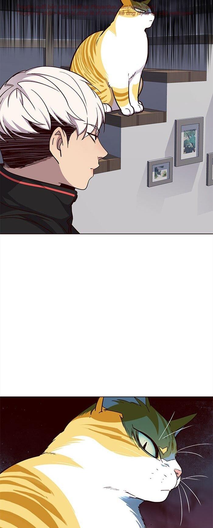 Hoá Thân Thành Mèo Chapter 35 - Trang 2