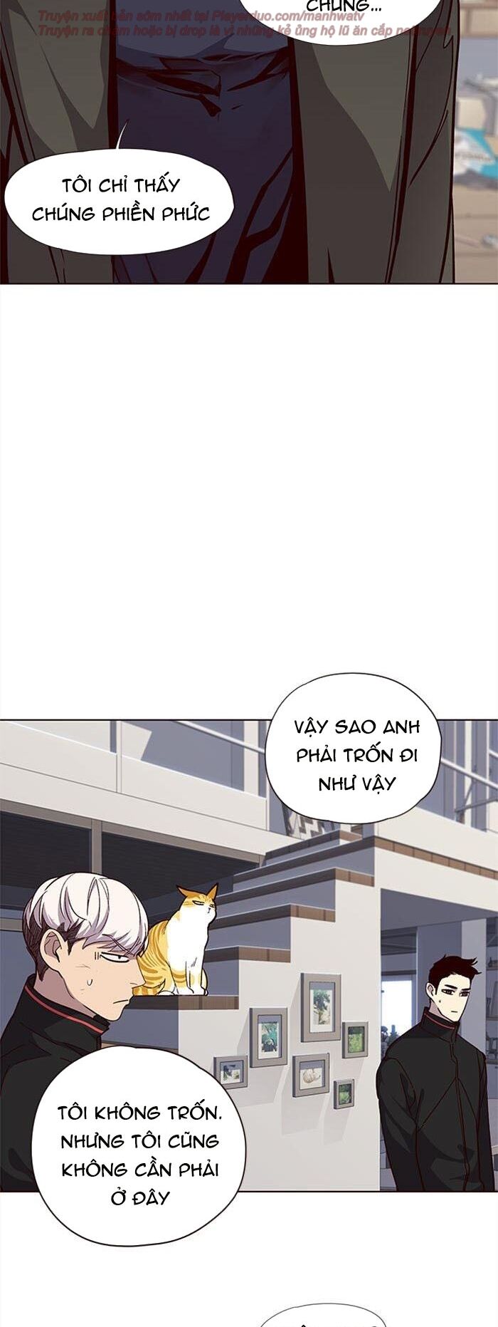 Hoá Thân Thành Mèo Chapter 35 - Trang 2