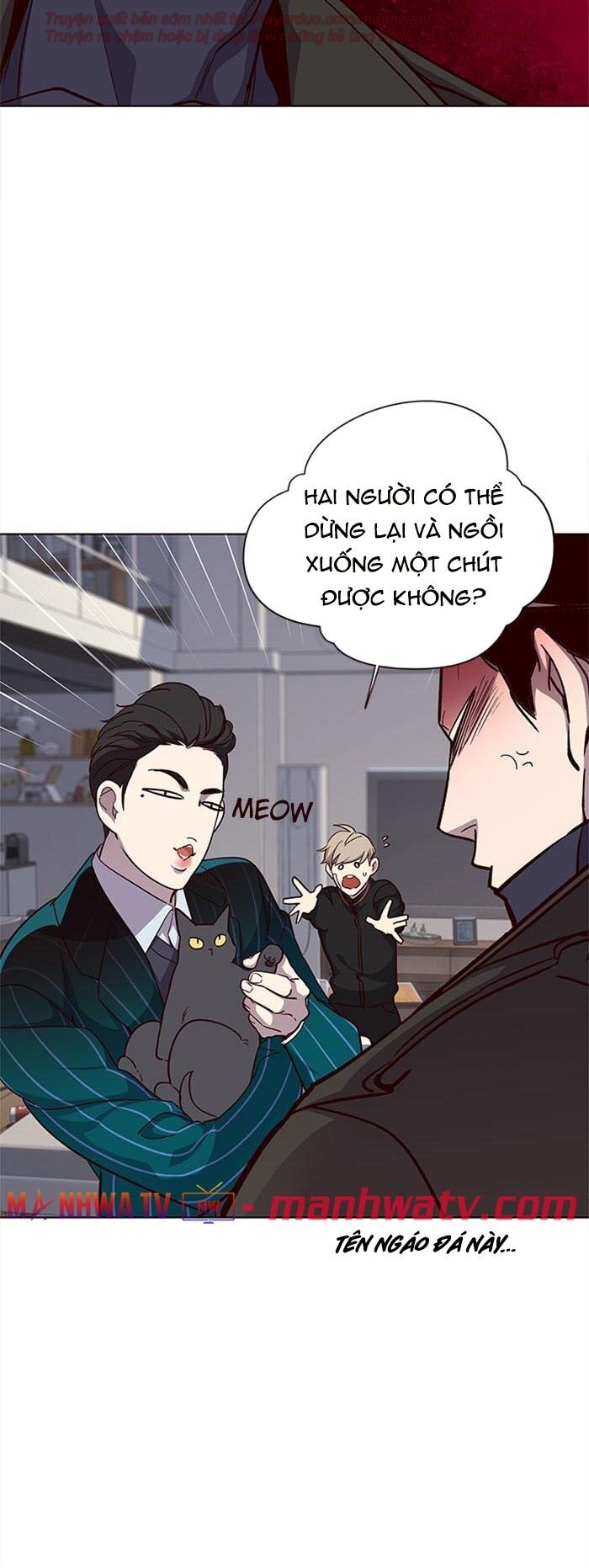 Hoá Thân Thành Mèo Chapter 35 - Trang 2